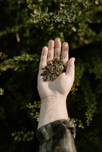Vitality Defense Loose Leaf Herbal Tea