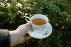 Vitality Defense Loose Leaf Herbal Tea