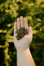 Summer Solstice Loose Leaf Herbal Tea — SEASONAL