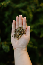 Evening Rest Loose Leaf Herbal Tea