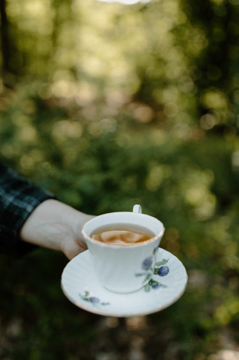 Evening Rest Loose Leaf Herbal Tea